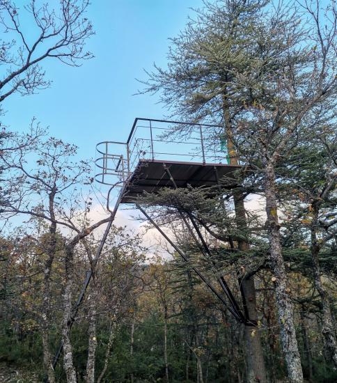 Plateau suspendu dans un arbre 